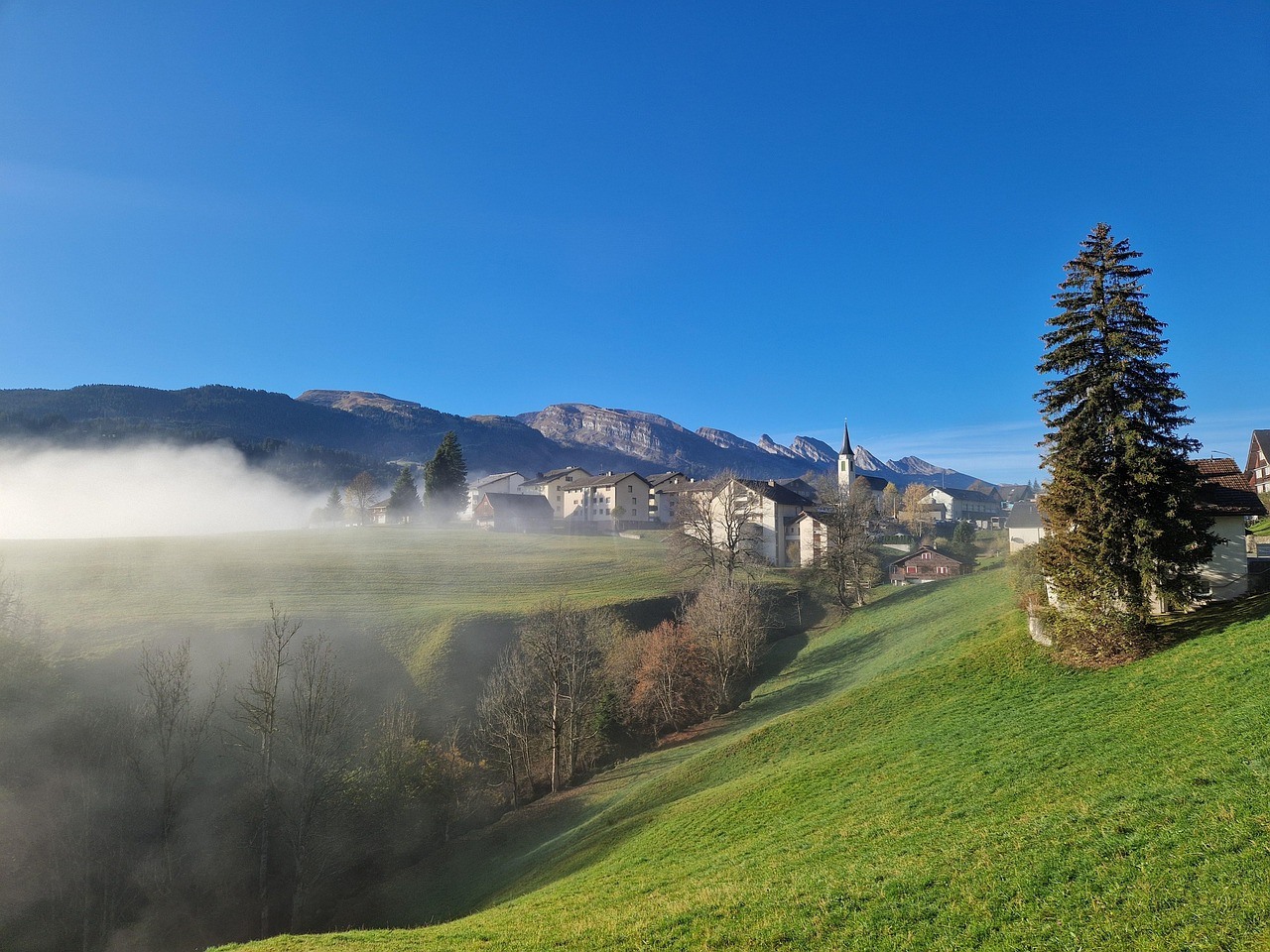 wildhaus-9171925_1280